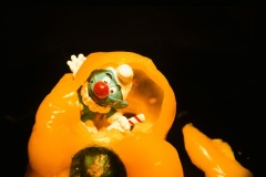 Gelbe_Paprika_Alu_20x30