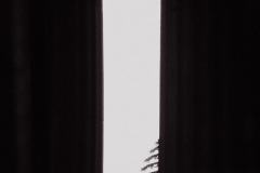 Mitte_Reichstag_und_Brandburger_Tor