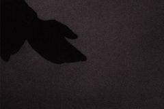 Neukoelln_Die_Hand_des_Comenius