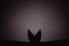 Tiergarten_Philharmonie