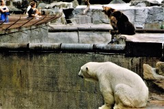 1_Frau-in-Blau-im-Baerengehege