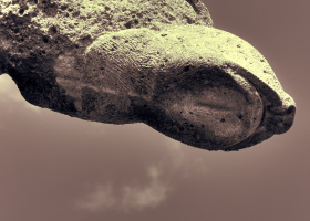 Bromba-Andreas_hh-mini_Landungsbaer-mit-Taube