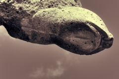 Bromba-Andreas_hh-mini_Landungsbaer-mit-Taube