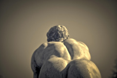 Ringer-von-hinten_Harburg