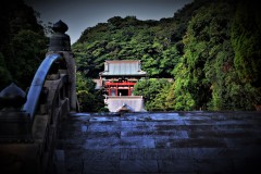 Kamakura_Tsurugaoka-Hachimangu