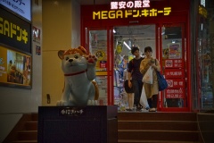 Tokyo_Mega-store_2.1