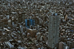Tokyo_Panorama_blaues-Haus_1