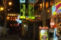 Tokyo_Strasse-mit-Mangas_1.1