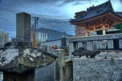 Zushi_Friedhof_2.1
