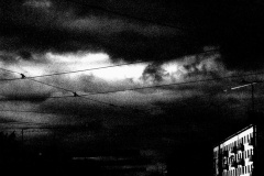 Koenigsberg-Unter-den-Wolken-ist-das-Licht