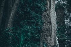 Yucatan_Stele-im-Urwald_1.1