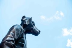 New-York_Hund-bei-Ground-Zero_1.1-scaled