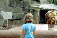 Stadt_v_unten_Das-Maedchen-und-der-Baer_Koenigsberg_Kaliningrad_G22