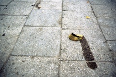 Stadt_v_unten_Gefahr-ueberall_Polen_G7